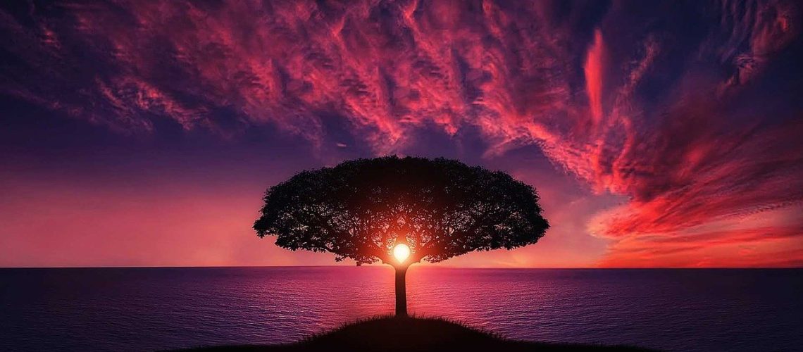 tree-736885_1280
